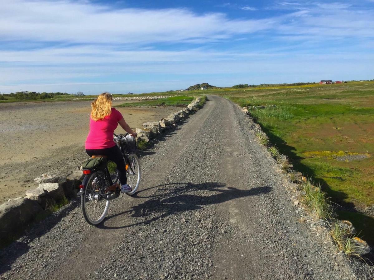 Steinbakk - Vestresand Lofoten Bostad Buitenkant foto